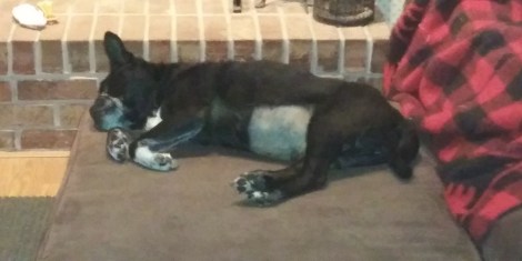 20190124_080341_resized